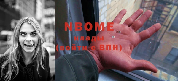 прущие грибы Касимов