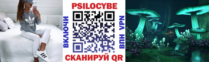 купить наркотики цена  Алейск  Псилоцибиновые грибы мухоморы 